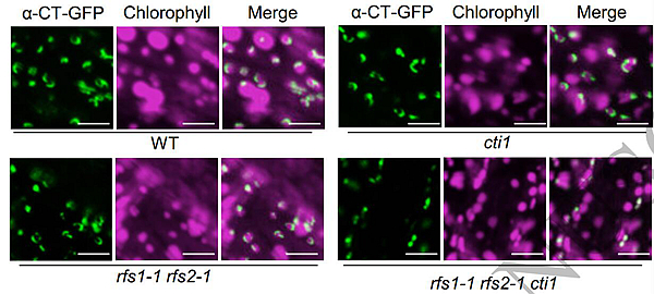 202411070917222079s4dt7