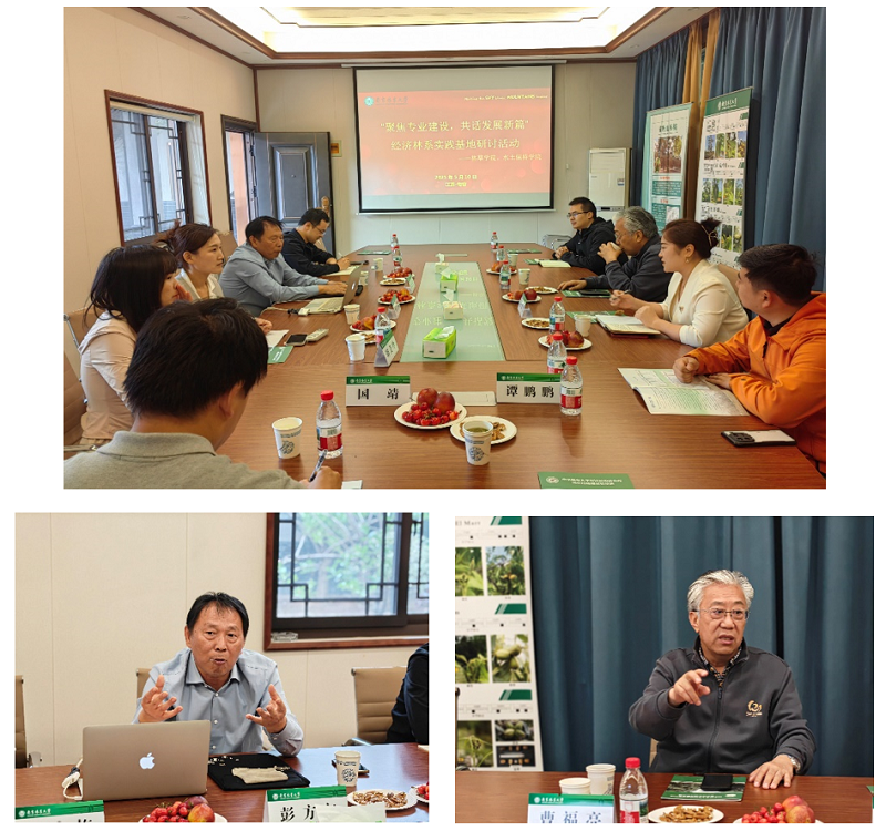 图片3_99861图片3