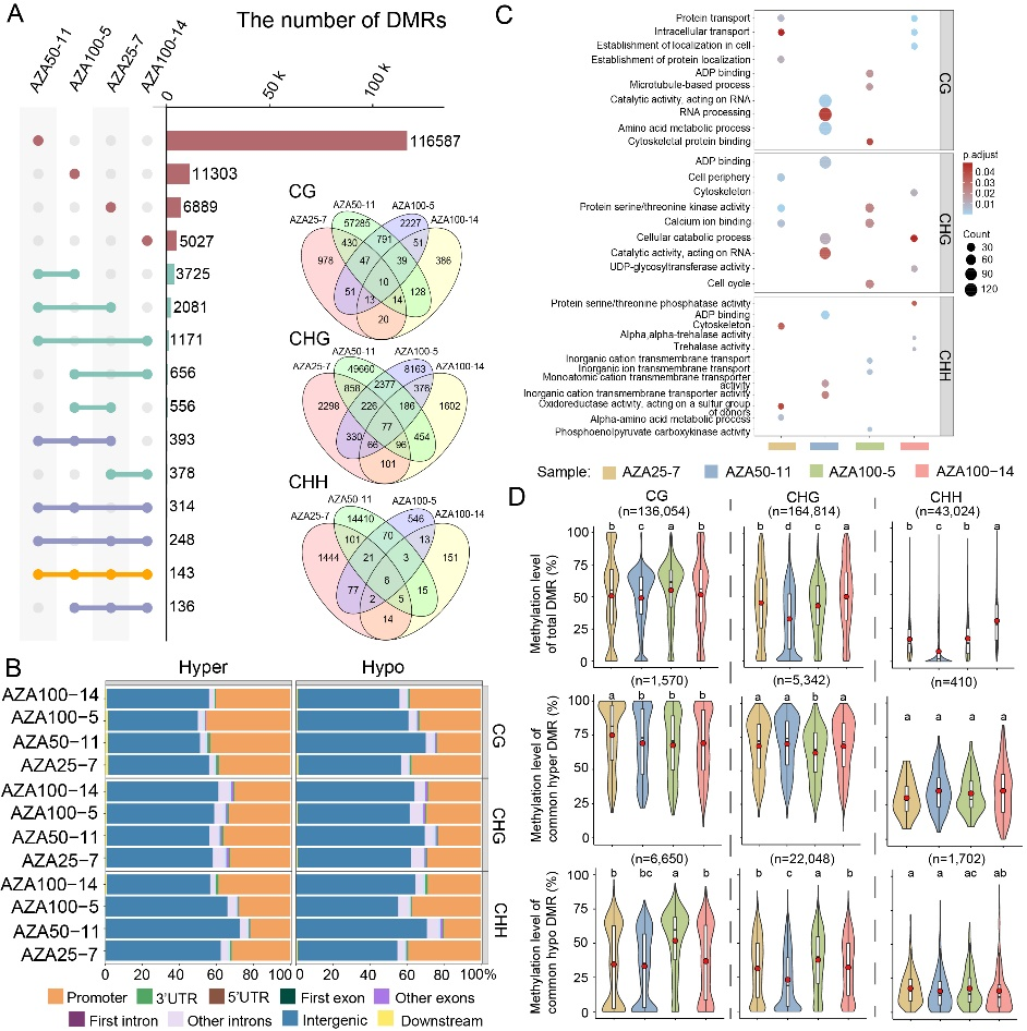 图片2_55783图片2