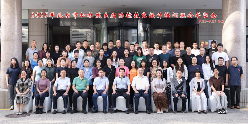 图片3_11183图片3